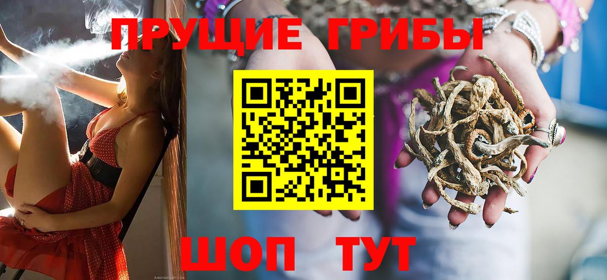 Псилоцибиновые грибы Cubensis  Галлюциногенные грибы мицелий  Ипатово  Вход с VPN 